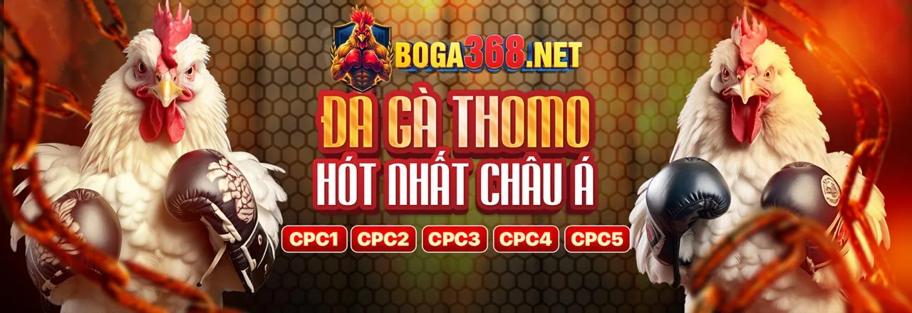 Hình ảnh chính sách quyền riêng tư của c168 game